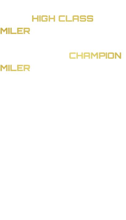 On the racetrack, Benbatl was a high class miler who was able to stretch to 2000m. He was crowned Champion Miler in b...