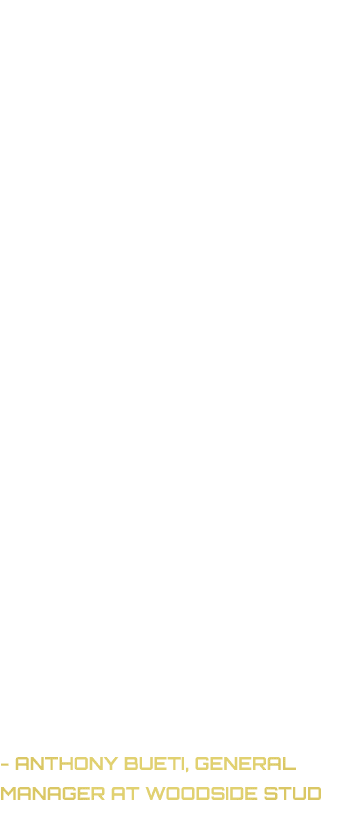 Statistically Dubawi is the most successful sire to ever stand in Great Britain with 271 stakes winners, 179 of Group...