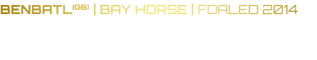 BENBATL(GB) | Bay horse | Foaled 2014