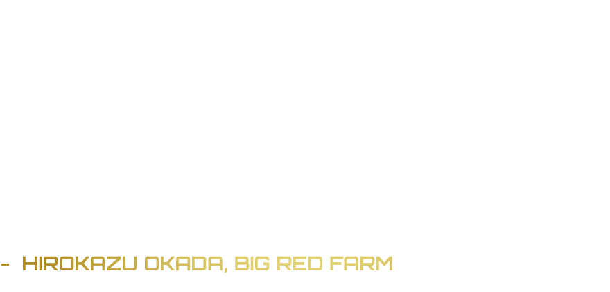 “We have given Benbatl every chance at Big Red Farm. His first crop (now yearlings) he covered 108 mares. His second ...